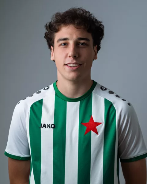 Luigi Moccetti
