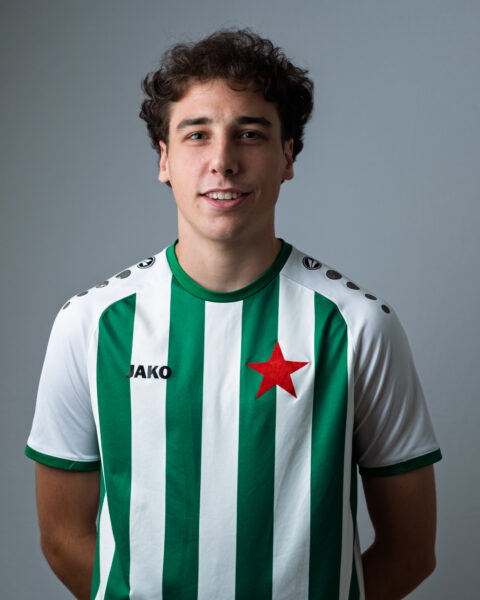 Luigi Moccetti