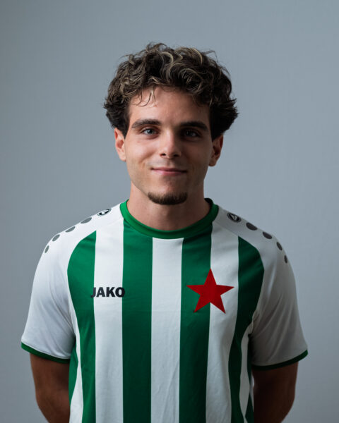 Sinan Ulu