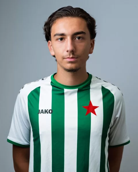 Strahinja Cvetkovic